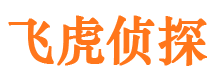 噶尔捉小三公司